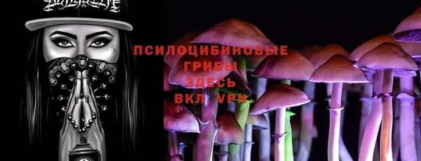 мяу мяу мука Осташков