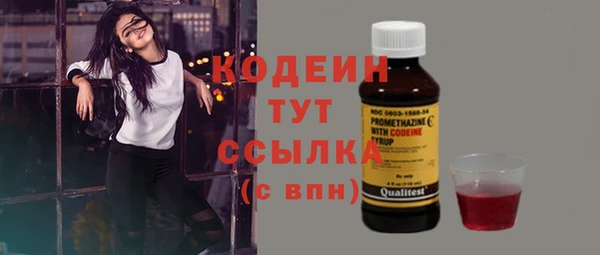 apvp Осинники