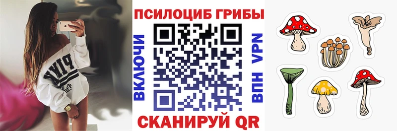Псилоцибиновые грибы мицелий магазин продажи наркотиков Иваново