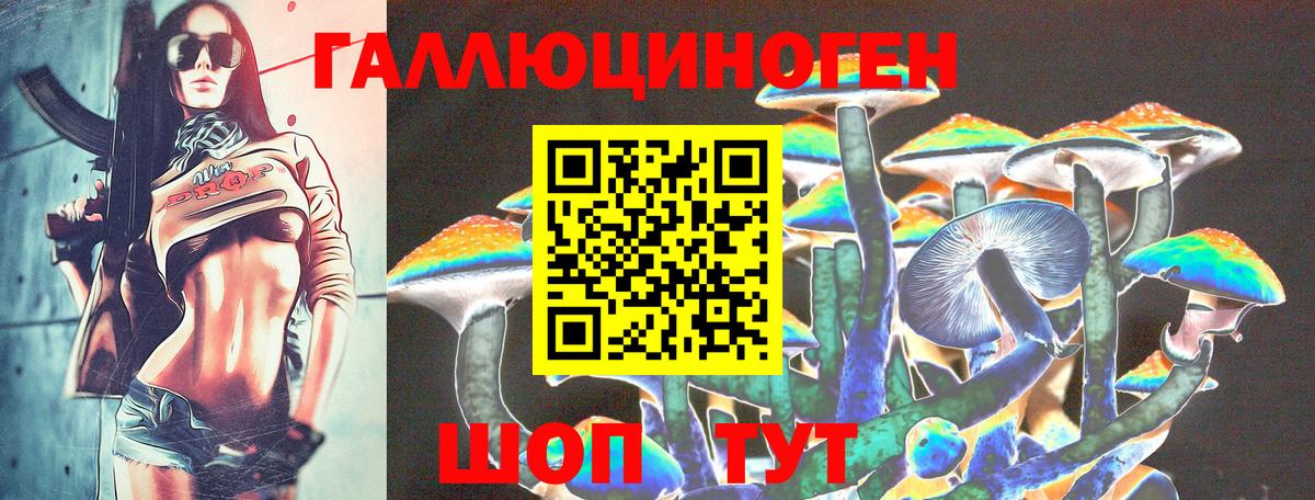 Псилоцибиновые грибы Psilocybine cubensis Иваново