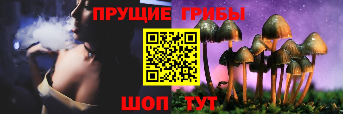 Псилоцибиновые грибы Cubensis  Вход с VPN  Иваново 